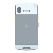 Zebra_EC50_EC55_07