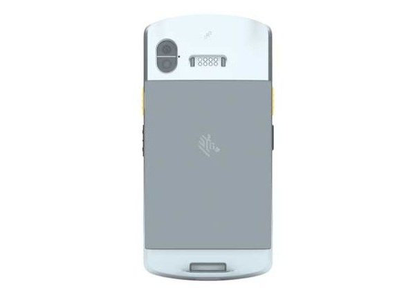 Zebra_EC50_EC55_07